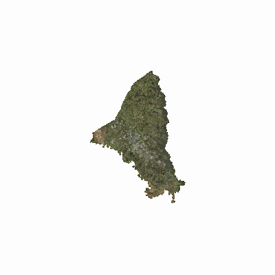 Export Image